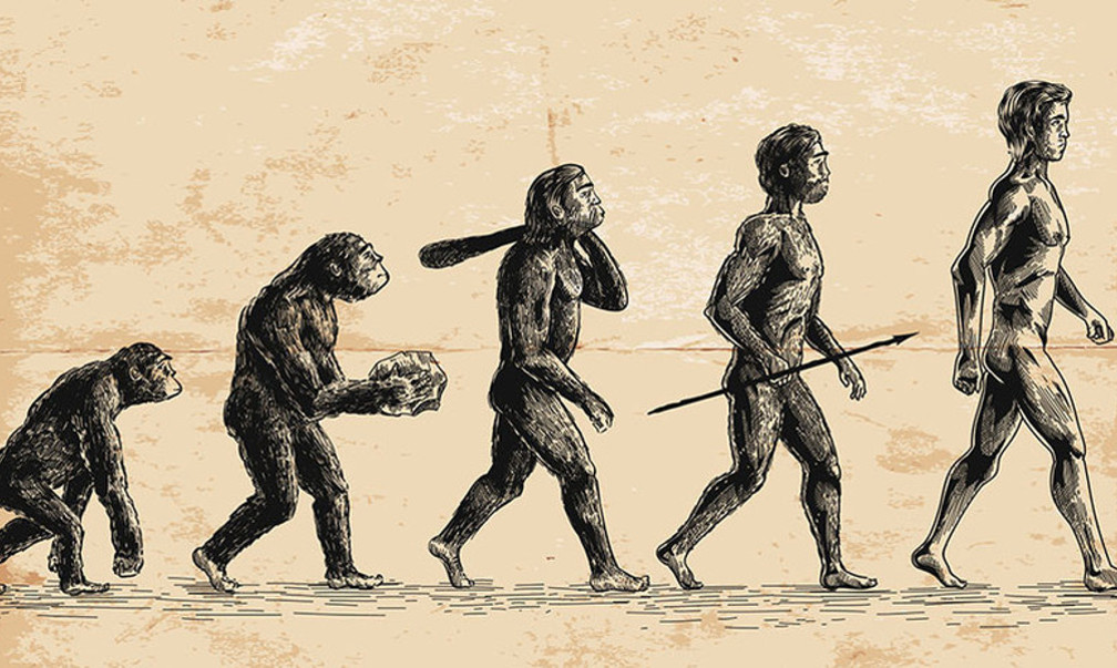  ������������ ��� ������������ �������� ���������� ������ 