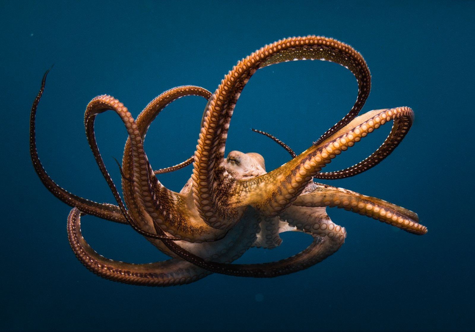  ����� ������ ��������� ������� 2022 