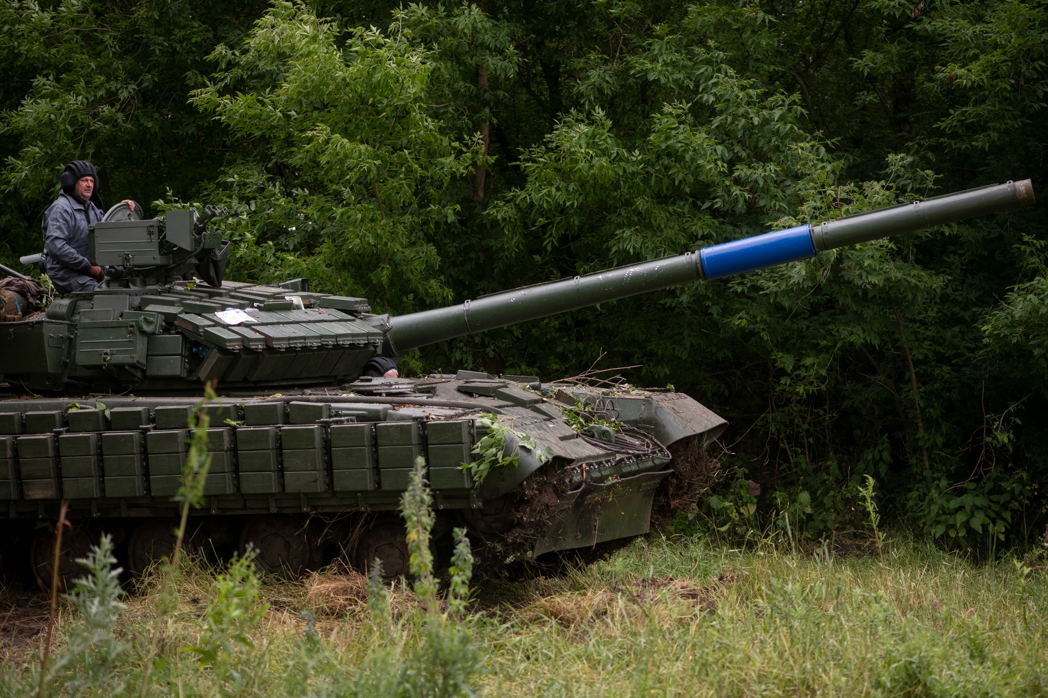  ������� ��� �������� ������� ���������������� nyt 