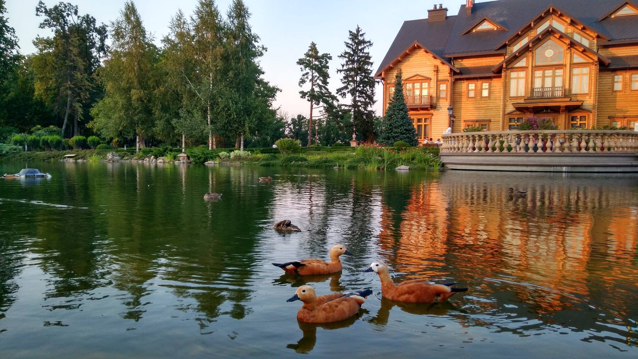  ��������� ������� ����������� ������������ ������������� ���� ����� 