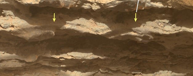 ����: focus.ua