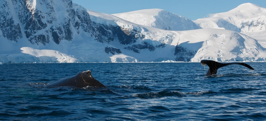  ���������� ���������� ��������� ��������� ���� ������ ��� ���� 