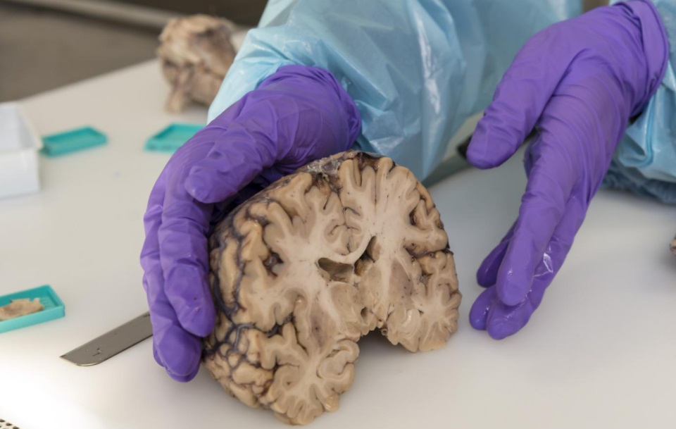  ������ ���������� ����� ���� ������������� ���������� ����� ������ 