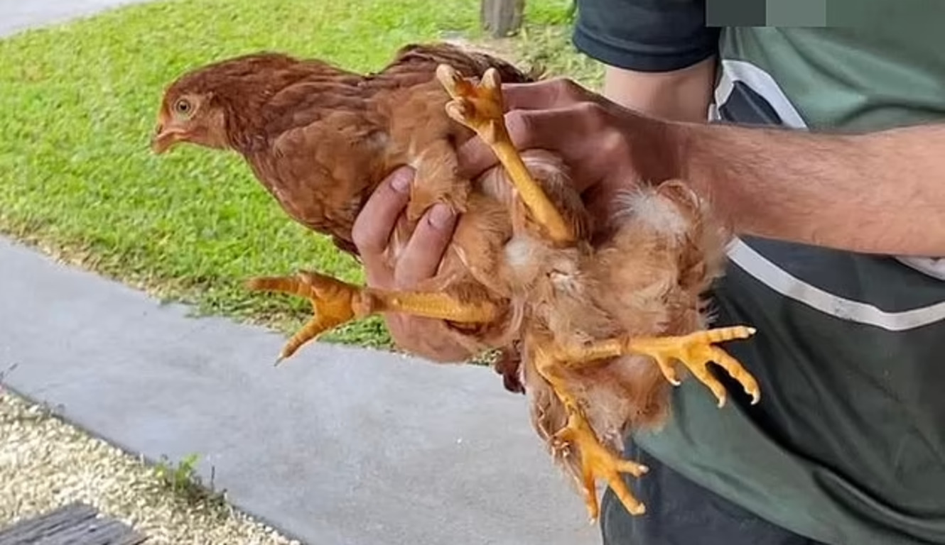  ��������� �������� ���� ��������� �������� �������� ������ ���� 