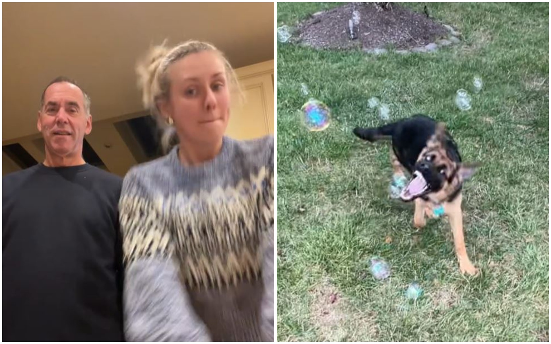  ���������� ����� ������� ����� ����� �������������� ���������� ����� 