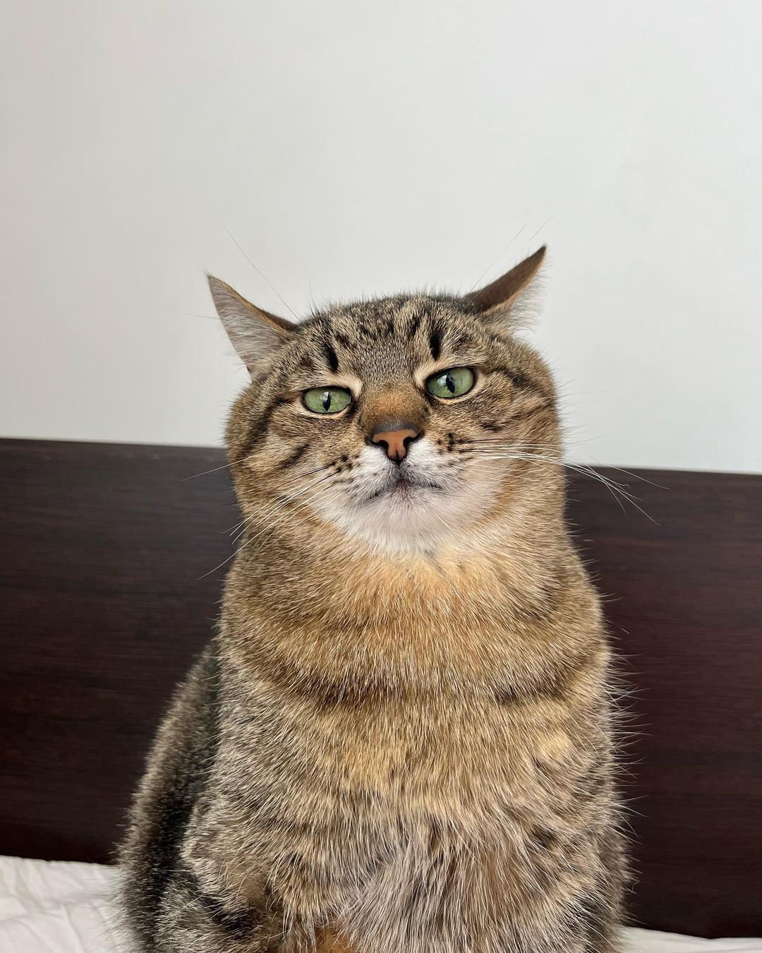  ����������� ��� ������ ������ �������� ���������� �������� 