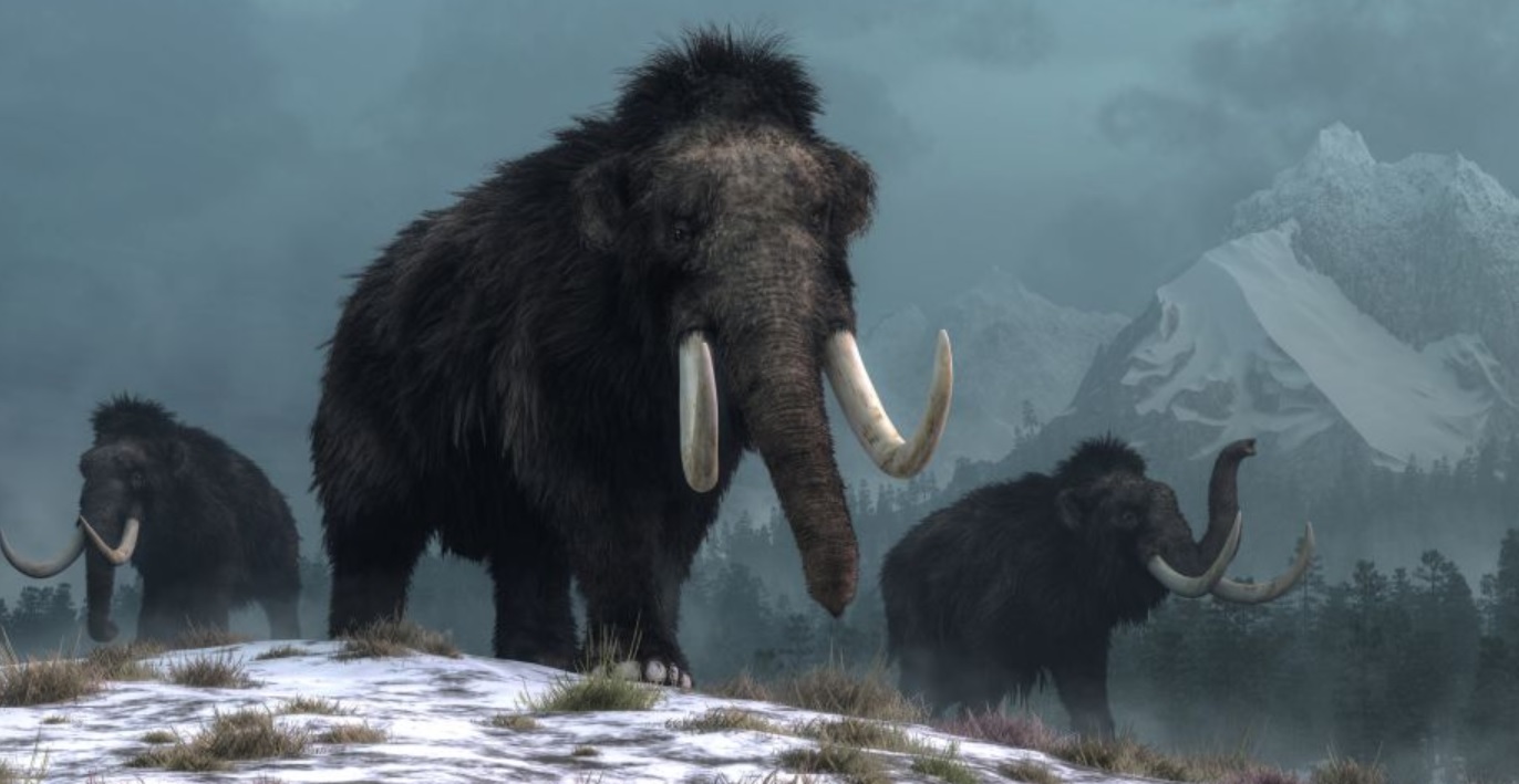 ����: focus.ua