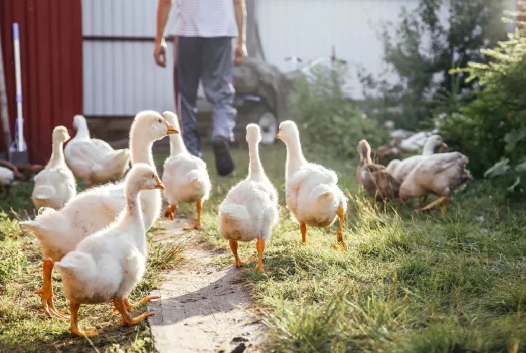  ������ ��� ������ �������� ������� ���� ����� 