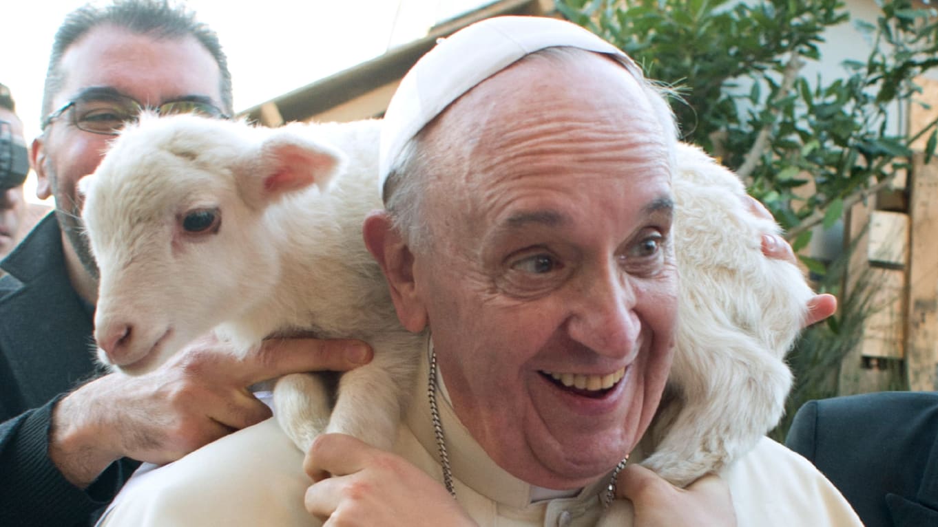  ���� ������� ������������� ������� �������� �������� ����� ����� 