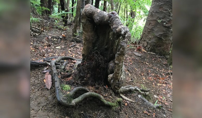  ����� ������� ����� ���� ����� ������� �������� ������� 