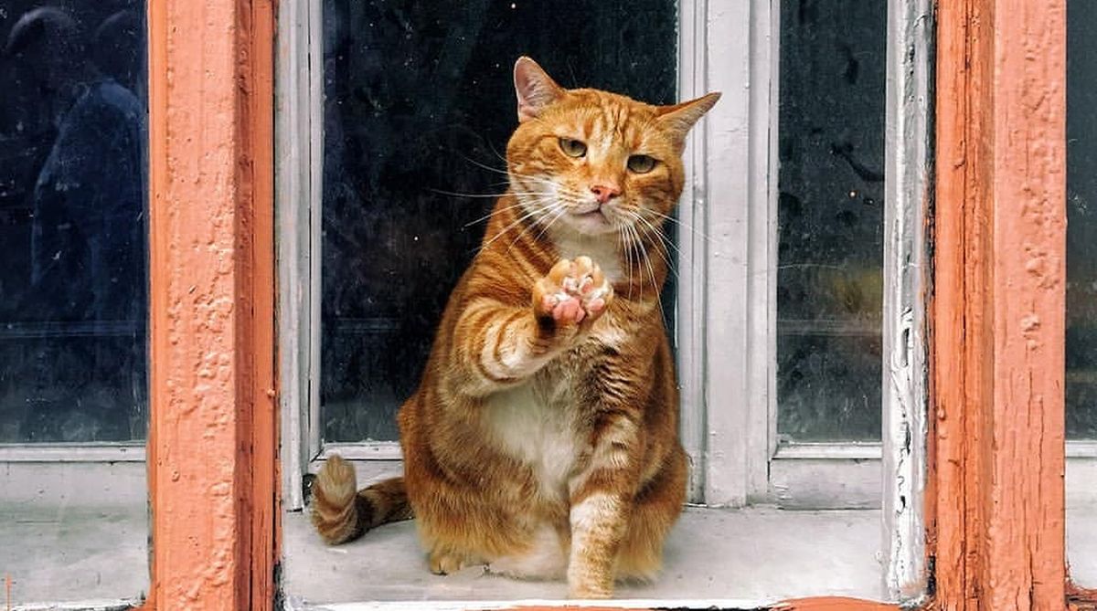  ����������� �������������� ���� �������� ����� ����� ������ ������� 