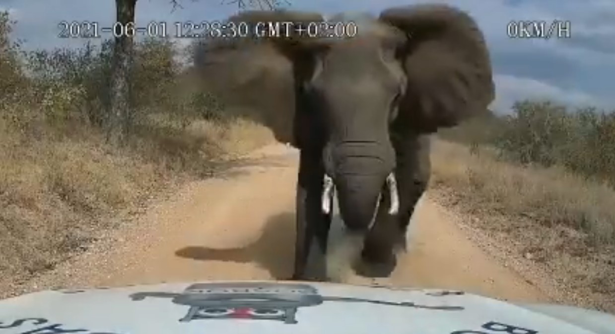  ����� ����������� ���� �������� ������ ���������� ����� 