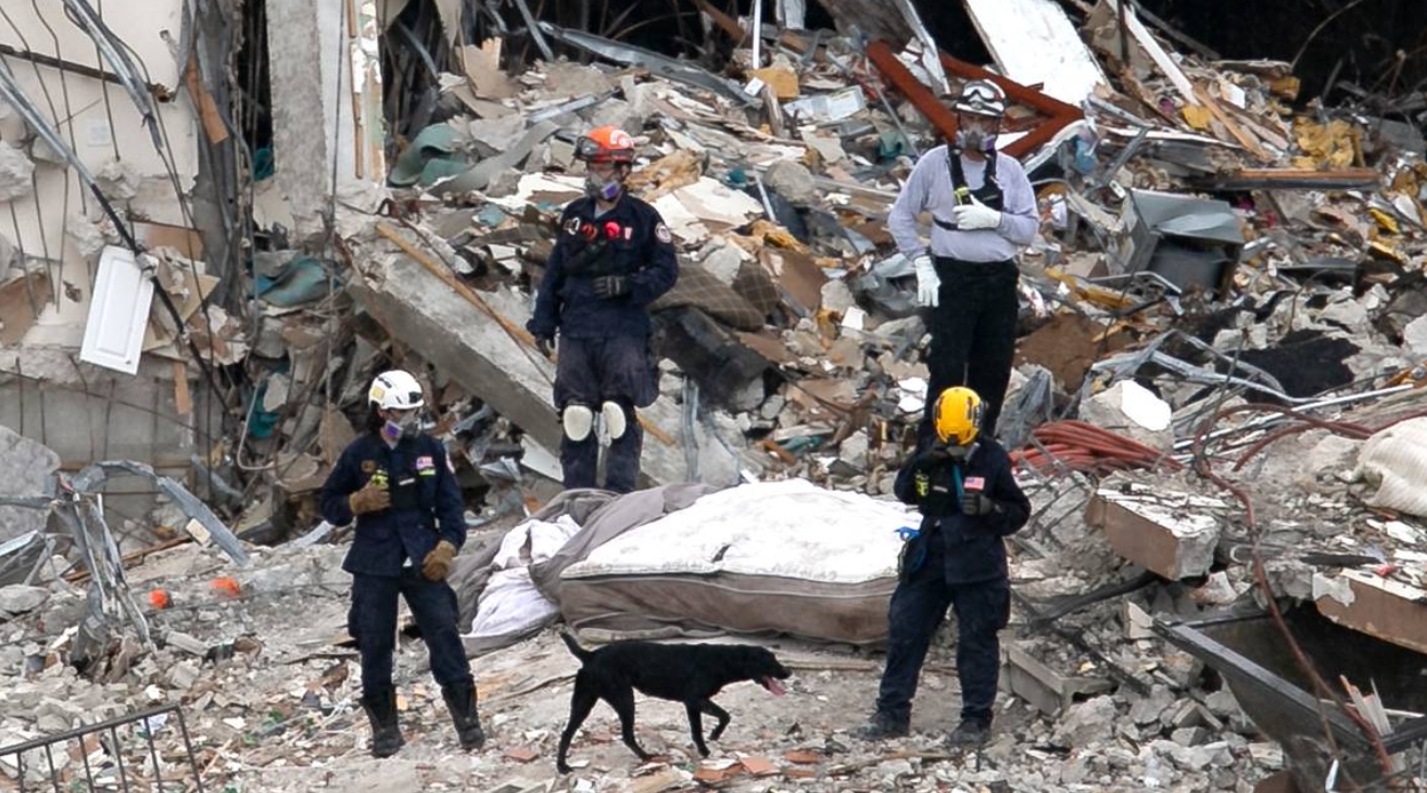  ��������� ���������� ������ �������� ����������� ���� ������ ��������� 