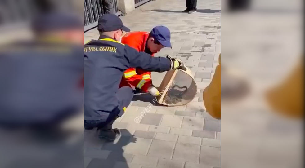  ������ ���� ������ ������ �������� �������� ������ ������ 