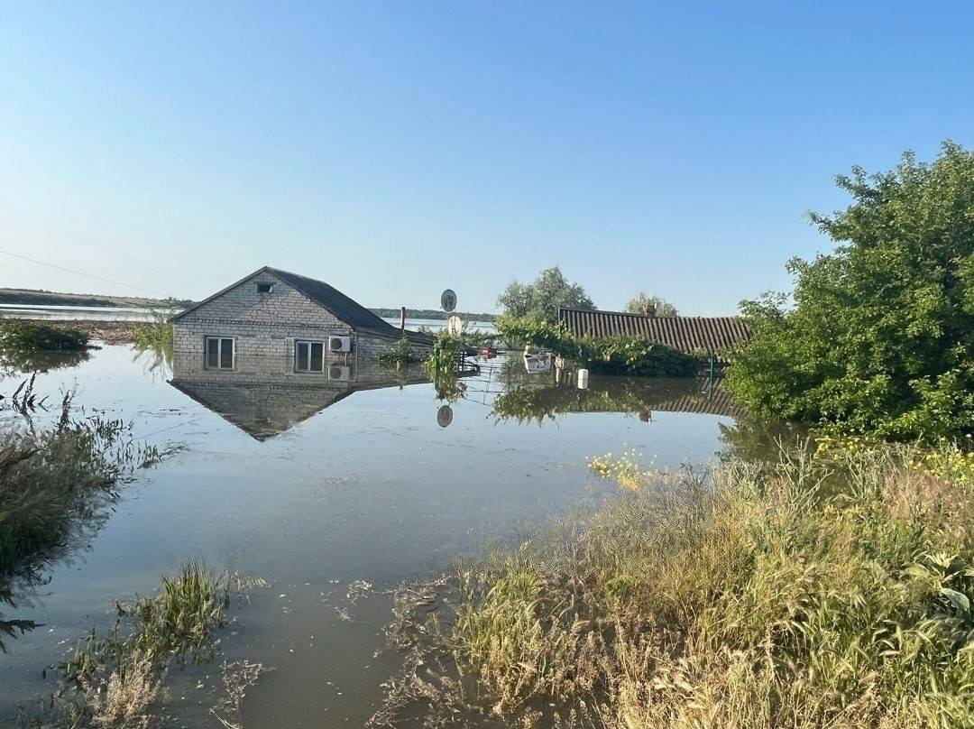  ������� ����� ����������� ���� ������ ��������� ��� ���� 