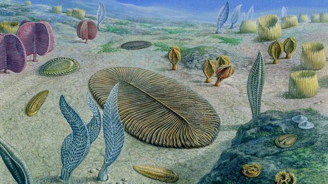  ������ �������� ����� ���� ������� ������� ��������� 500 