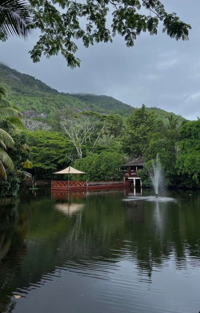 ����: focus.ua