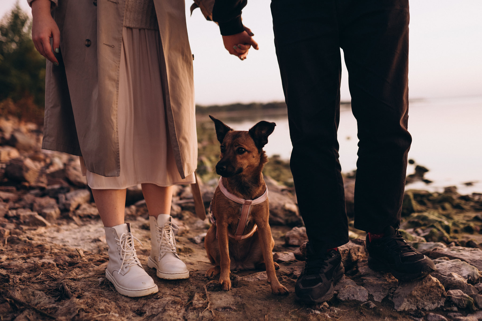  ������� 2022 ������-������ 