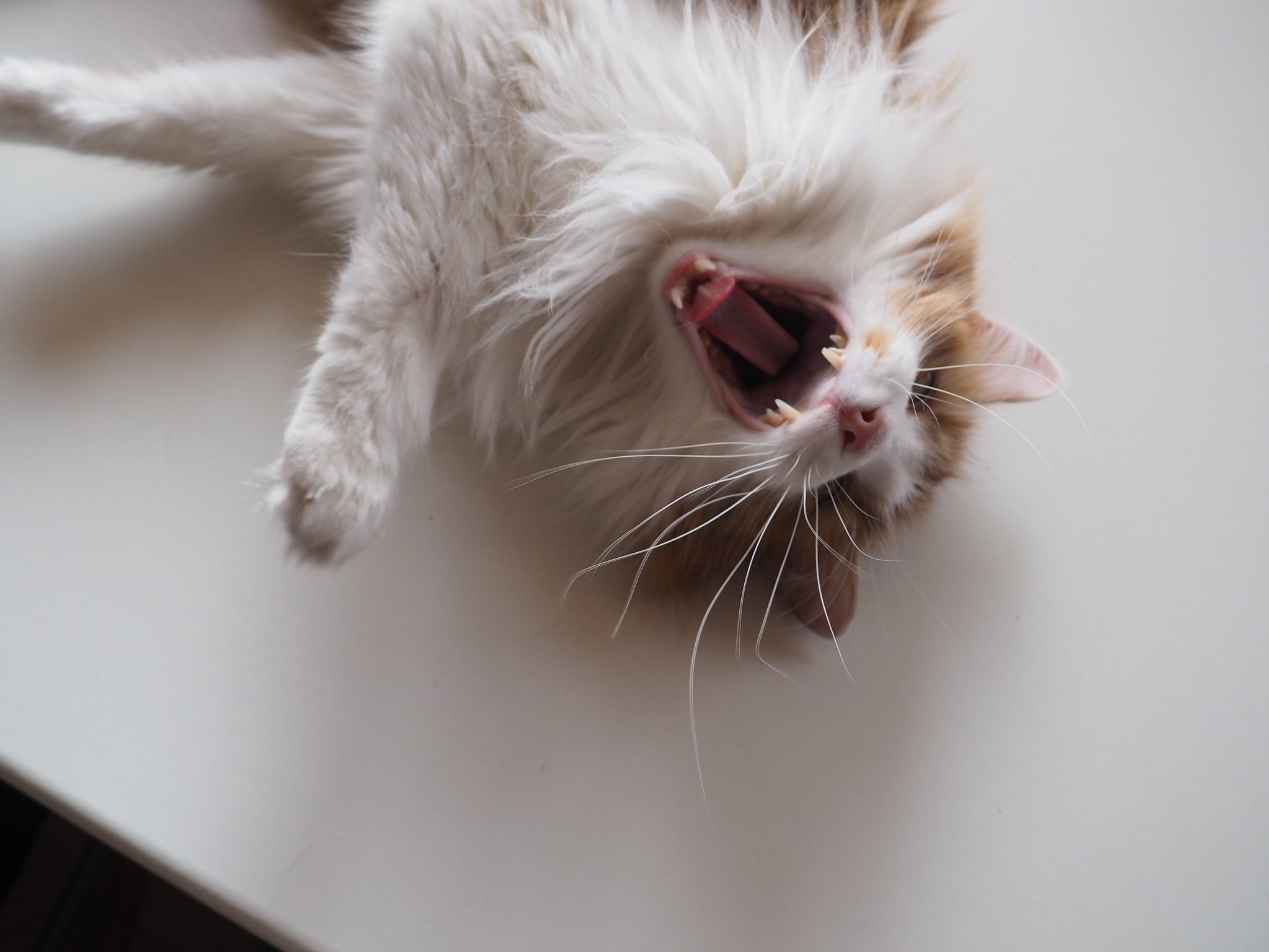  ����� ������ ����� ����� �������� ����� ��������� �������� 