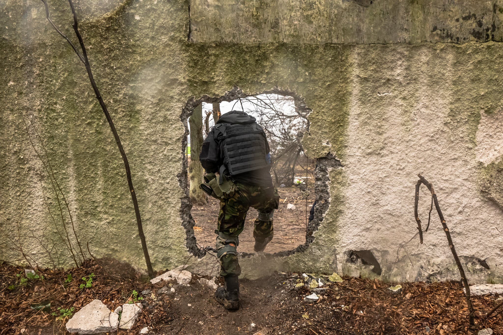  ����������� ���� ������������ ��� the economist 