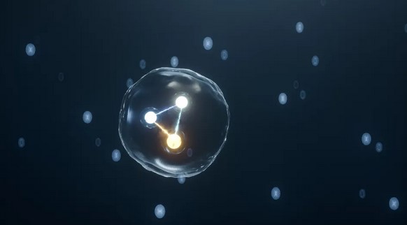 ����: focus.ua