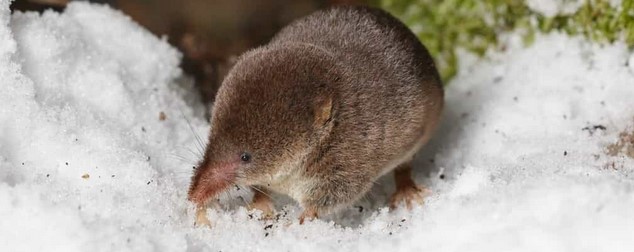  �������� ��������� ���� ������ �������-�� �������� ����� ������� 