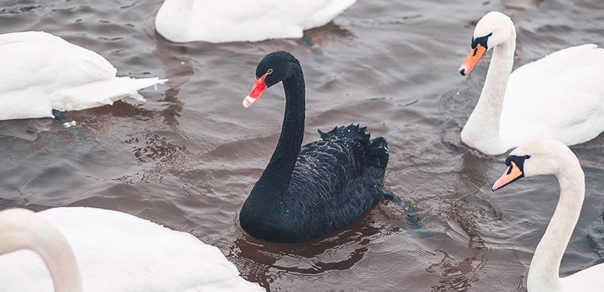  �������� ������ ������� ������ ������������� ����� ��������� ����� 