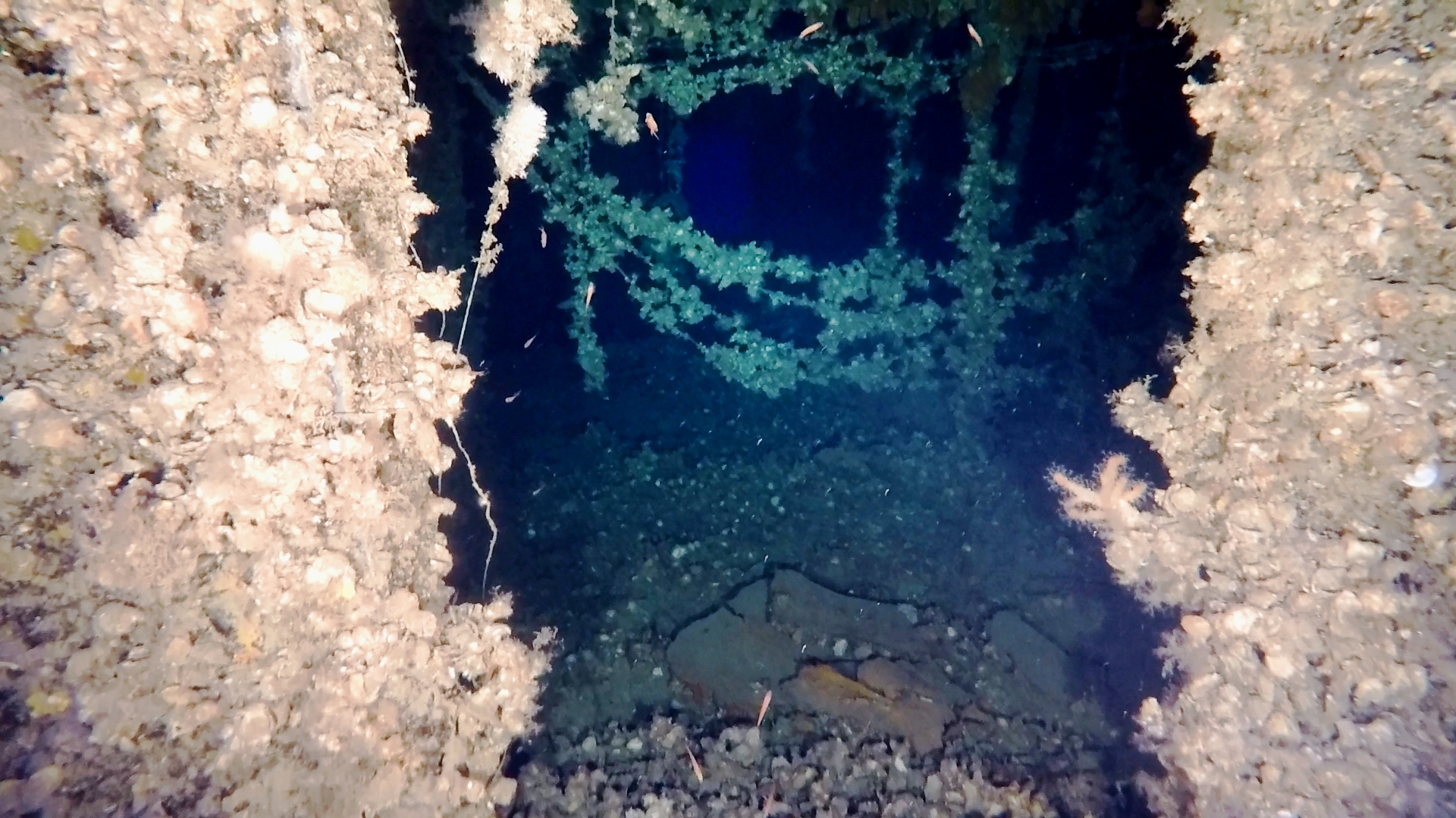 ����: focus.ua