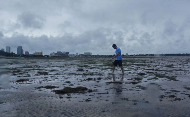 ����: focus.ua