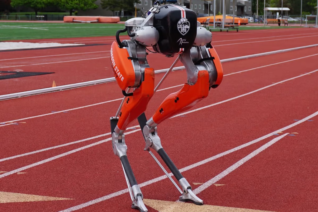  �������� ����� ��������� ������� ������ ���������������� ������� 100 