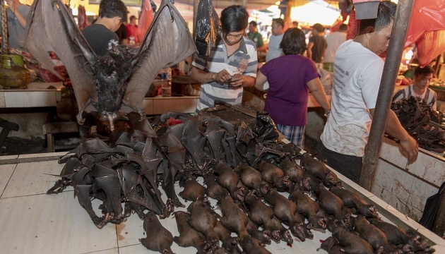  ��� ���������� ����� ������ ������ ������������� covid-19 