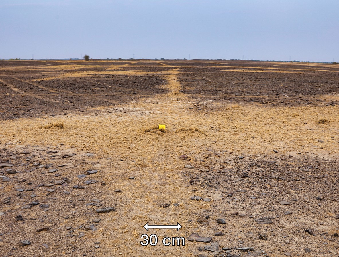  �������� �������� ������ ���������� ����� ����� ������� ���� 