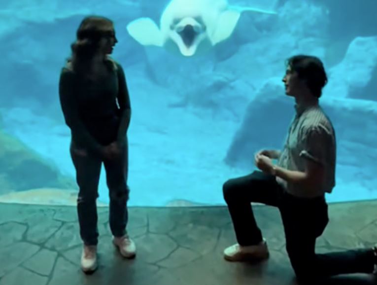  ������ ������� ����������� ����������� ������ �������� ��������� 