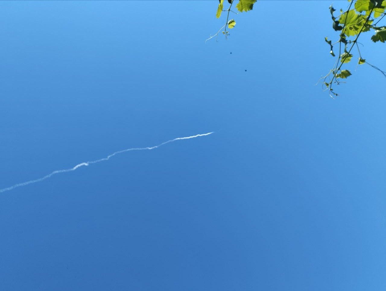  ����������� ������� ��������� ������ ��������� ���������� ������ ��� 