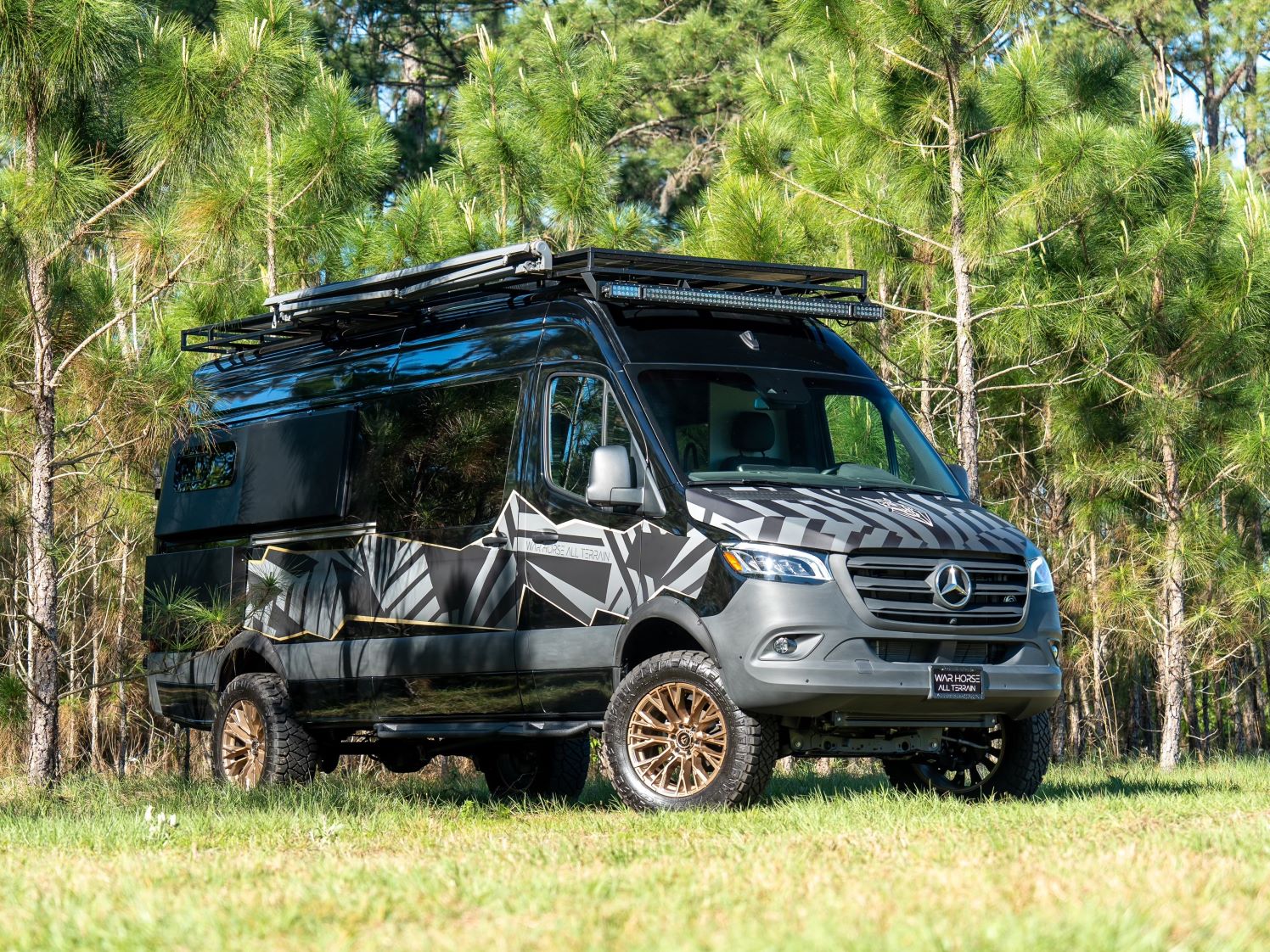 Mercedes Sprinter        ()