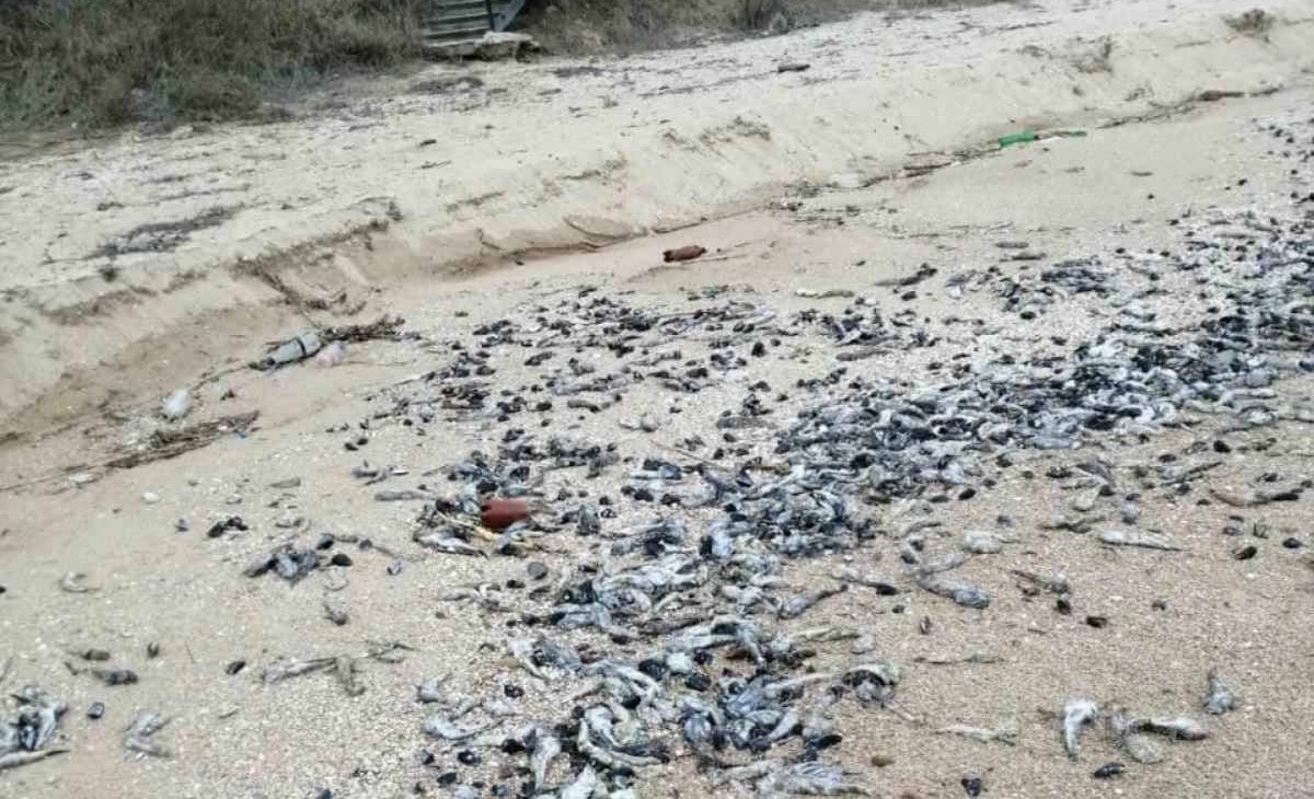 ����: focus.ua