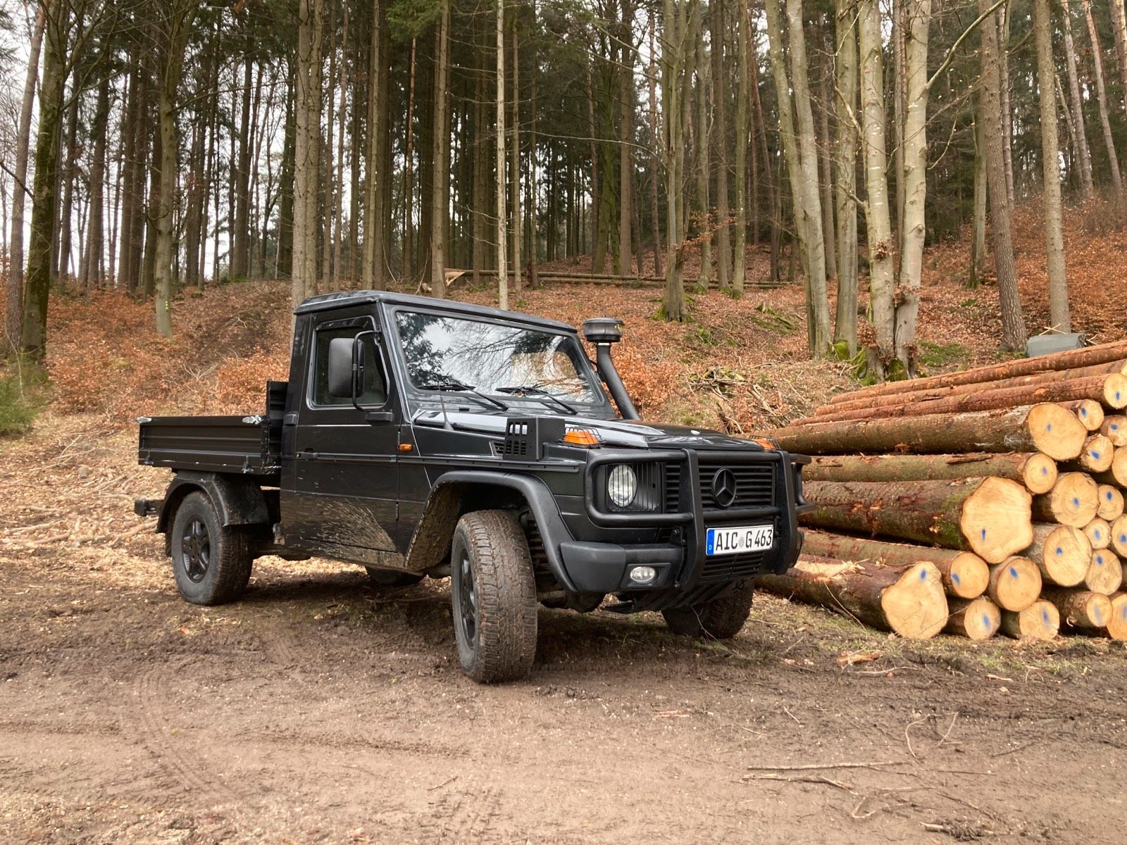  ������ ����������� ���������� ������������ ����������� �������� ���� 