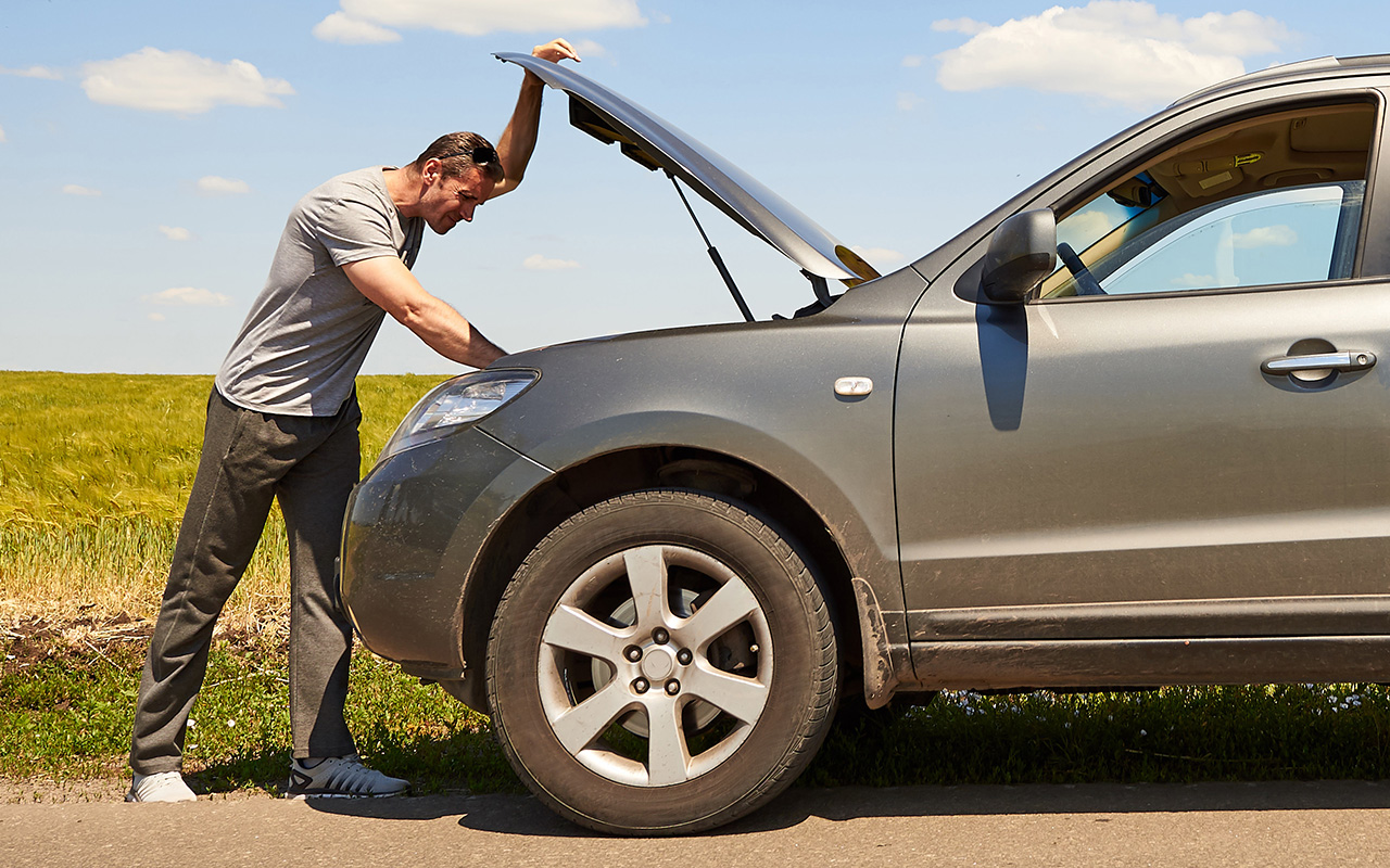  �������� ������� ����� ���������� ���������� ������������� 