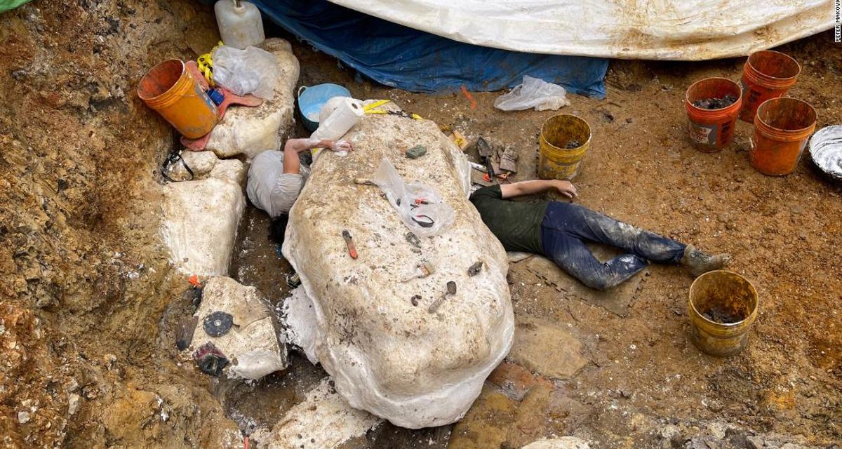  ������ ������ ����� ����� ������ ���� ��� ����� 