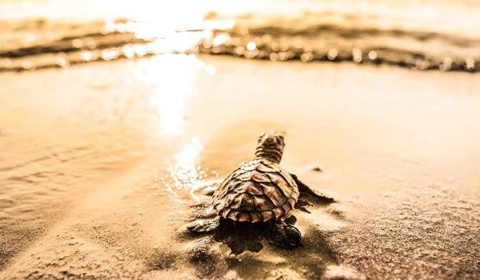  ������� ��������� ������ ����� ������ ������ ��������� ���������� 