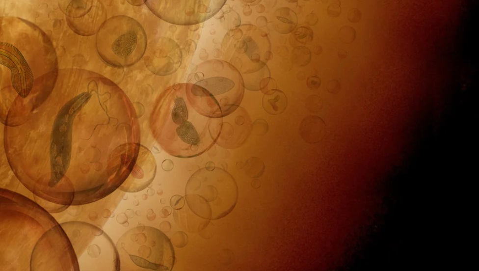  ������� ������ ������ ������ ������ ������� ������ 