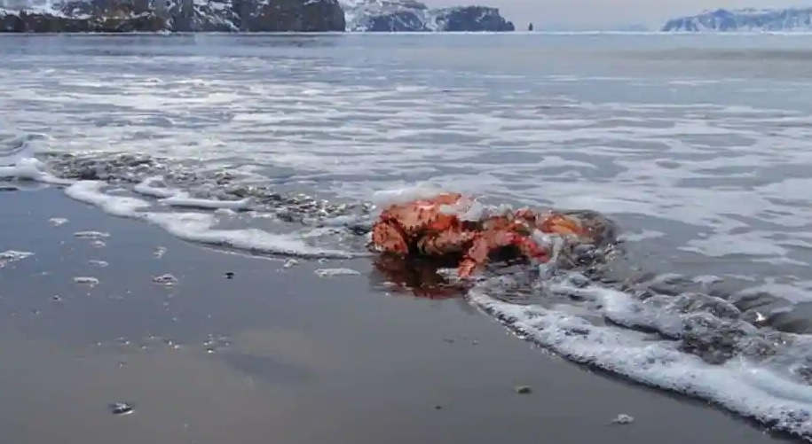  ��������� ������� ������ ������� ��� ������ ������� 