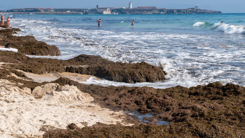  ��������� ��������� ��������� ��������� ����� ������ �������� ������� 