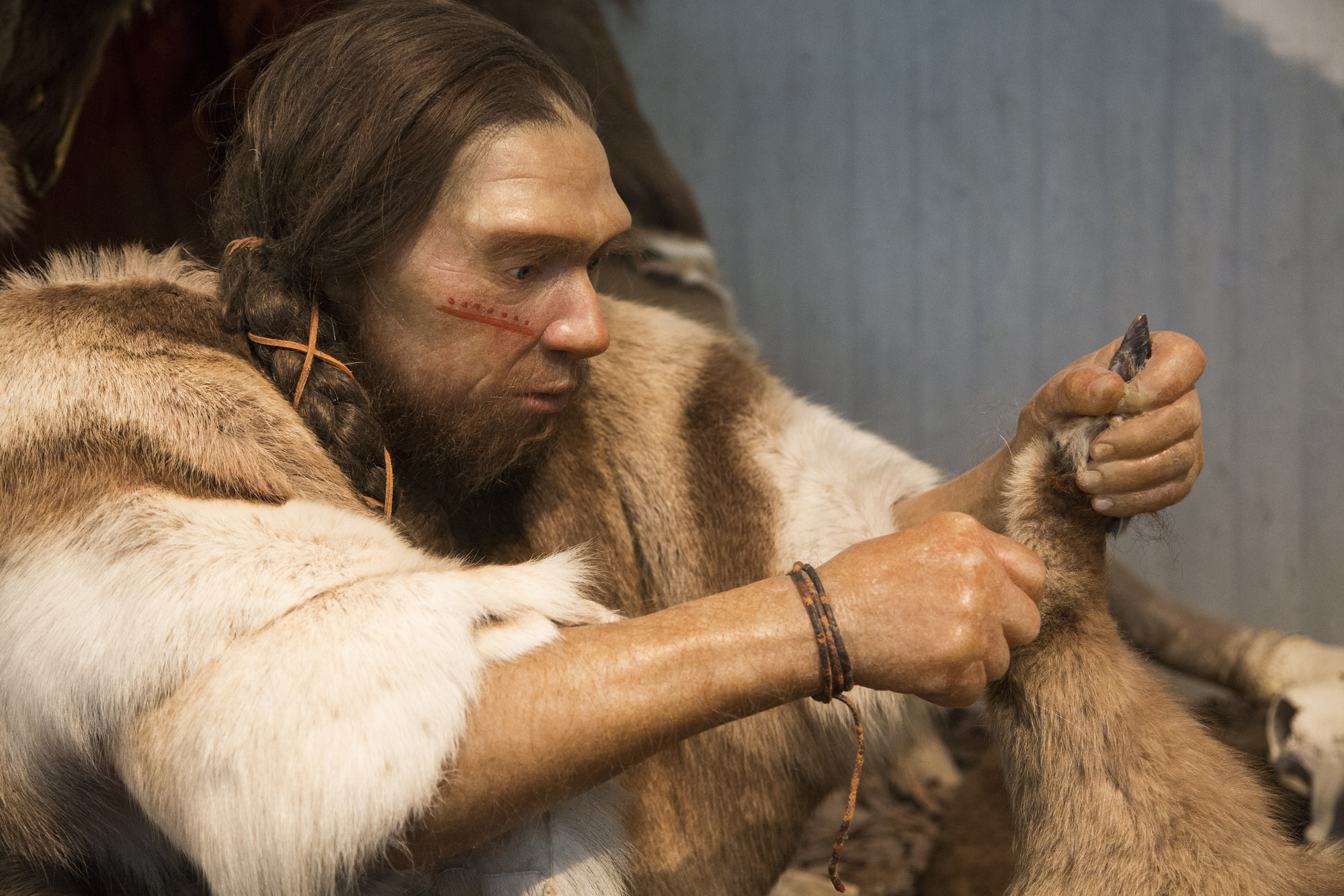  ������ �������� ������� ������ ������ ������ 