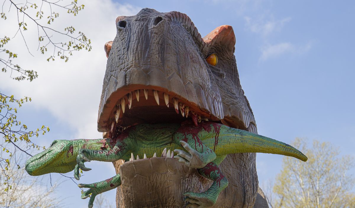  ����� ������� ����� ������� ������� ���� ���������� ���� 