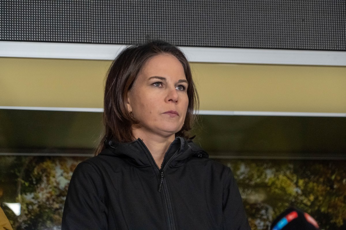  ����������� ������ ���� ����������������� �������� leopard ������� 