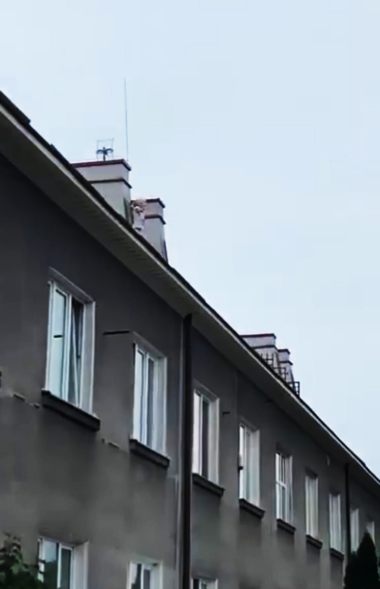 ����: focus.ua