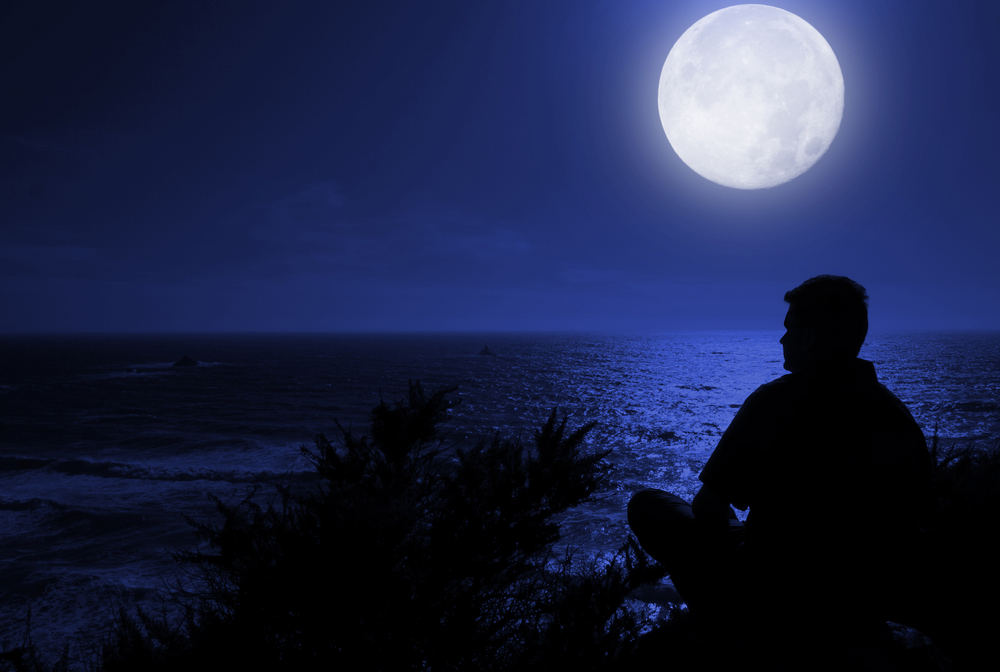  ������ ���������� ���� ������ ���������� ��������� �������� 