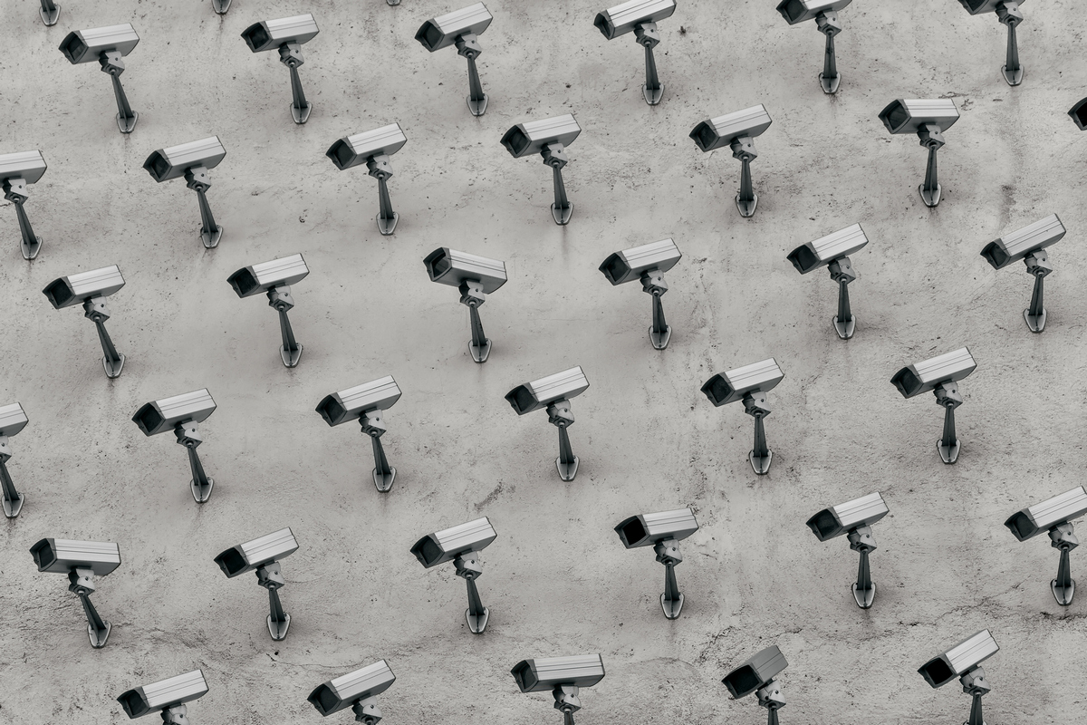  ������������ ������ ����������� ����� 2024 �������� 