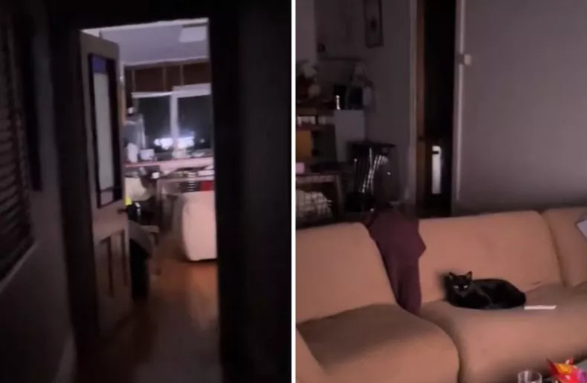  ������� ������ ������� ������� ��������� ����������� ����� ����� 